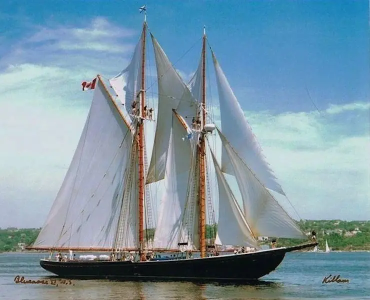New England Naval Timbers